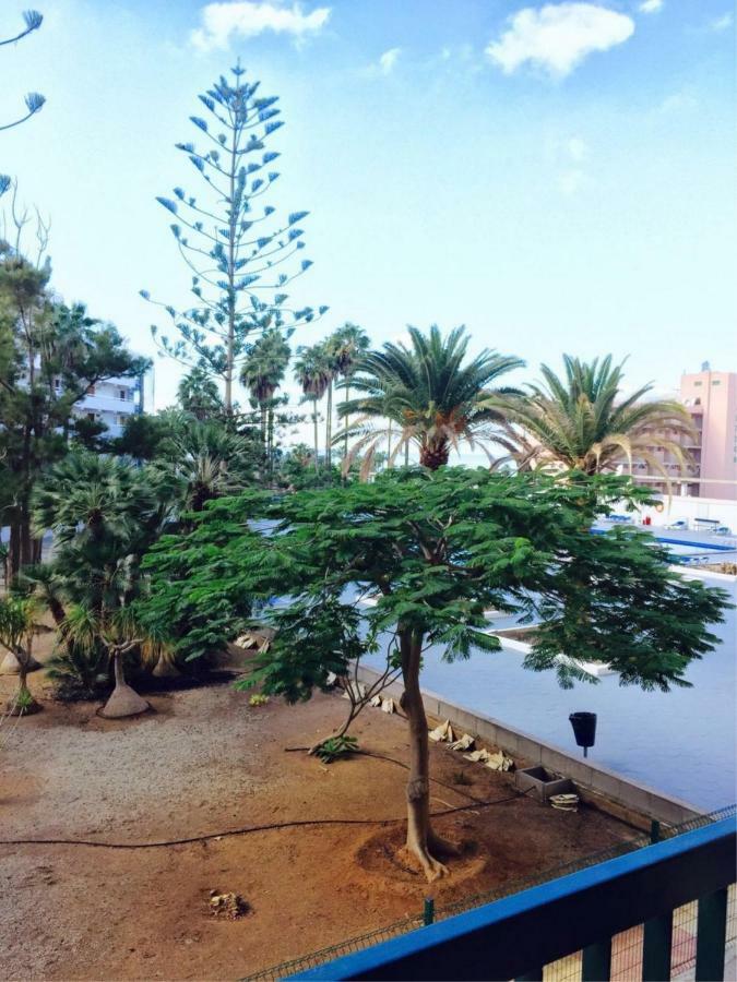 Enjoy The Sea And Pool In Playa De Las Americas Playa de las Americas (Tenerife) Exterior photo